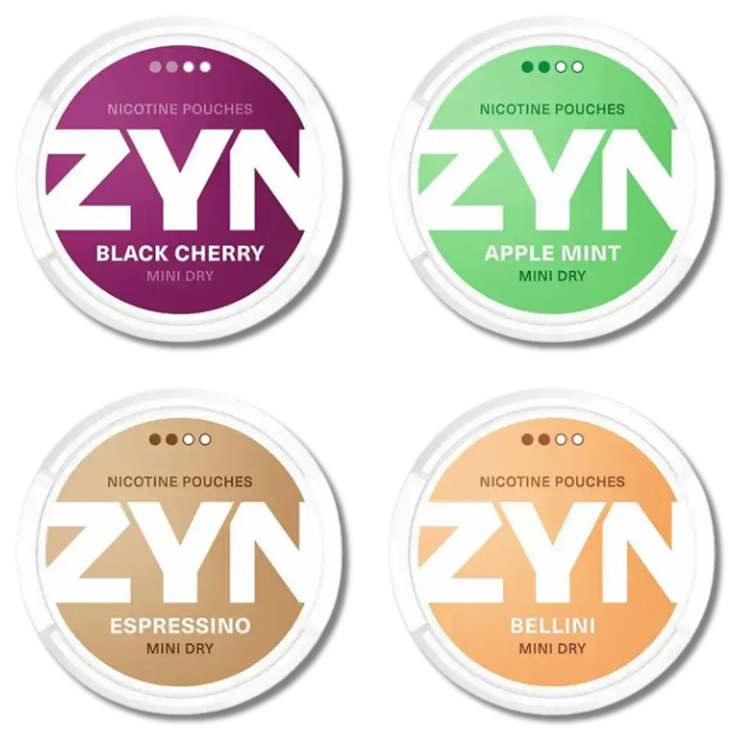 [Q-4848-05] ZYN POUCHES Europe 5CT (ICy Mint 11MG)